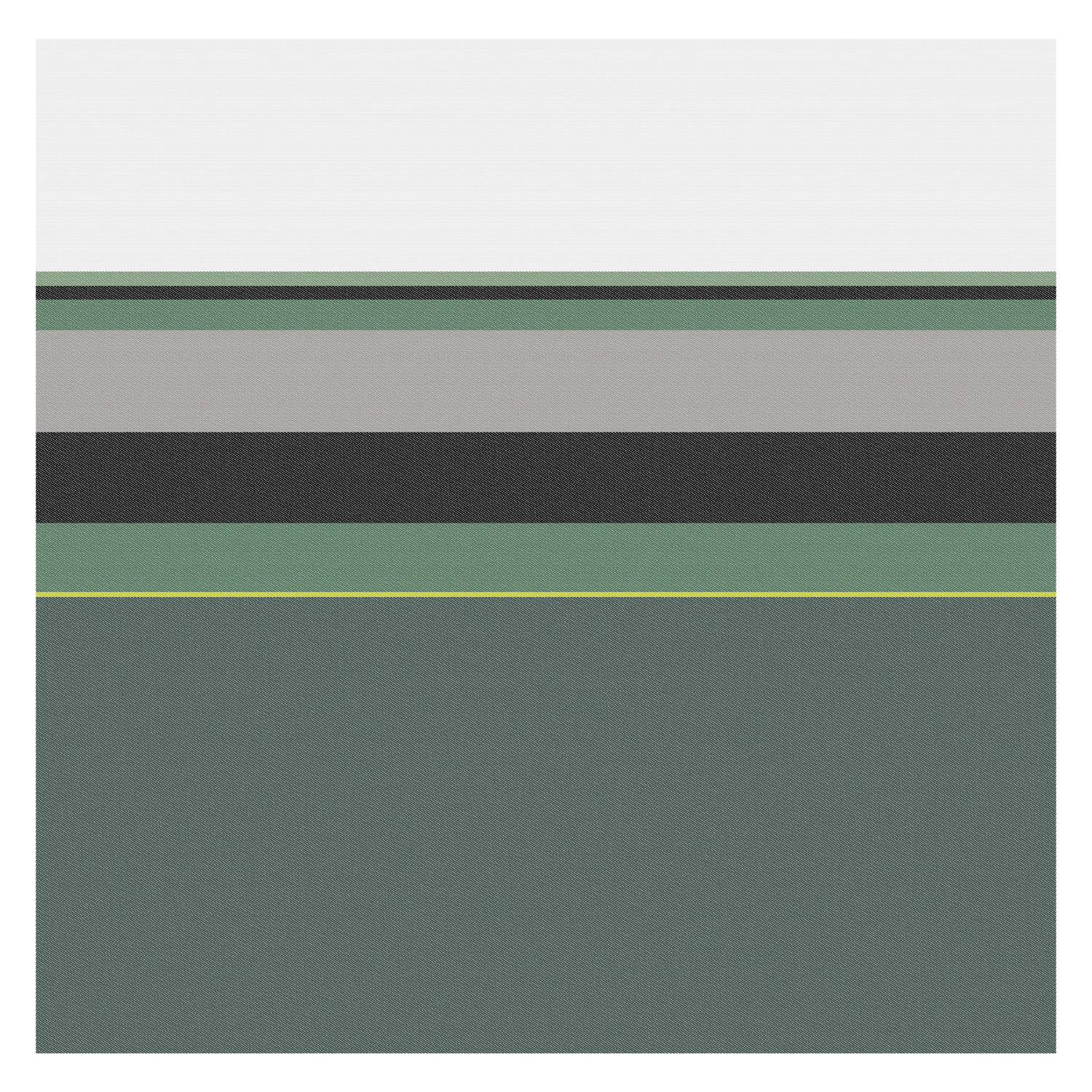 DDDDD Rico theedoek 60x65cm groen (6 stuks)