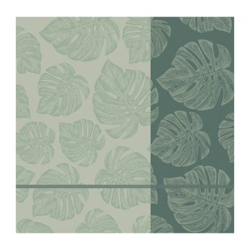 DDDDD Monstera theedoek 60x65cm laurier (6 stuks)